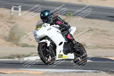 media/Nov-16-2025-Race Pace (Sun) [[8c5fa54630]]/Non Verified Riders (1st 20 Minutes)/2-Turn 10 (1010am)/